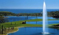 flamingos  golf club
